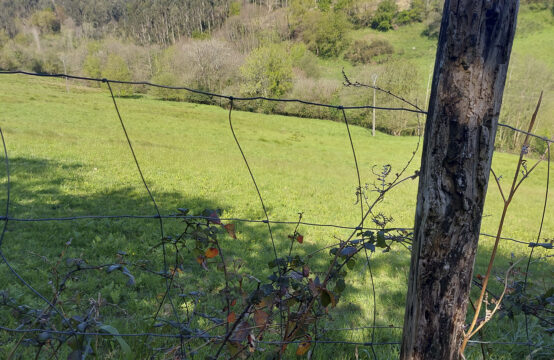 Ref- 01132 &#8211; Terreno